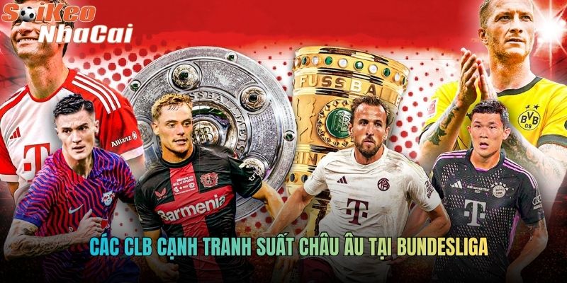 Các CLB cạnh tranh suất châu Âu tại Bundesliga