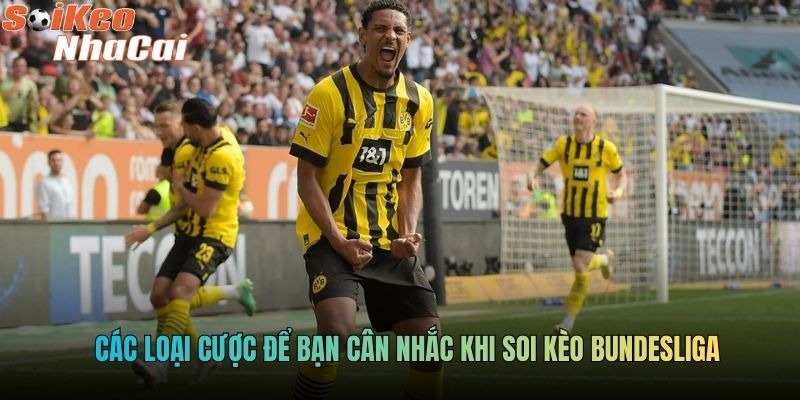 Các loại cược để bạn cân nhắc khi soi kèo Bundesliga