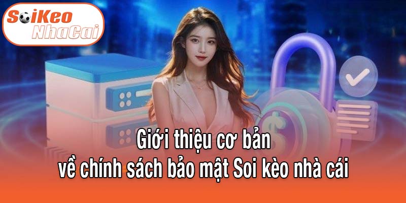 Giới thiệu cơ bản về chính sách bảo mật Soi kèo nhà cái