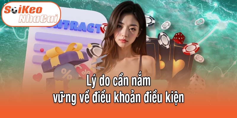Lý do cần nắm vững về điều khoản điều kiện