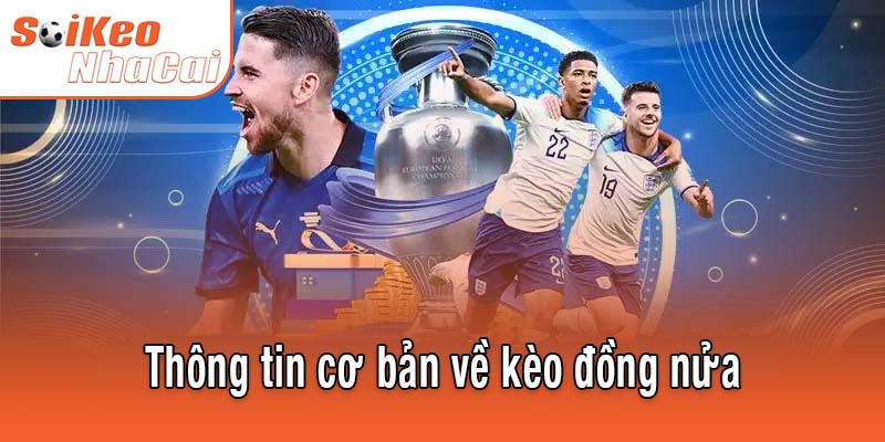 Khám phá cơ bản về kèo đồng nửa