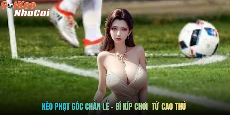 Kèo phạt góc chẵn lẻ - Bí kíp chơi từ cao thủ