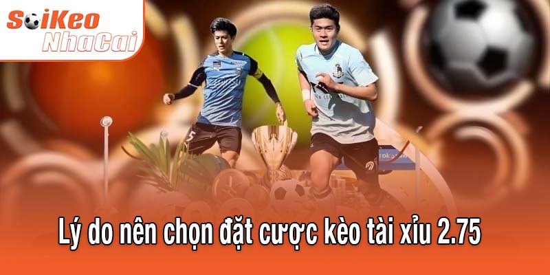 Lý do nên chọn đặt cược kèo tài xỉu 2.75