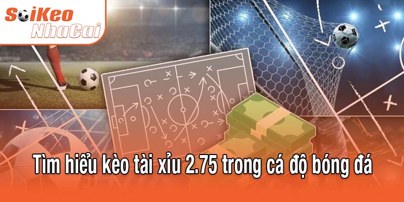 Tìm hiểu kèo tài xỉu 2.75 trong cá độ bóng đá