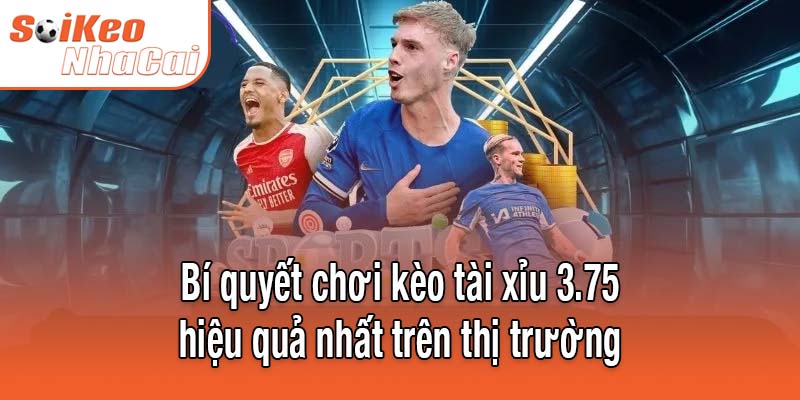 Bí quyết chơi kèo tài xỉu 3.75 hiệu quả nhất trên thị trường