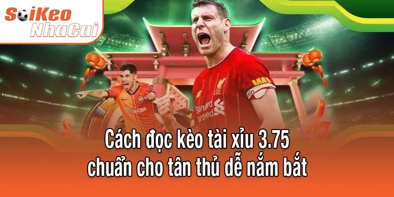Cách đọc kèo tài xỉu 3.75 chuẩn cho tân thủ dễ nắm bắt