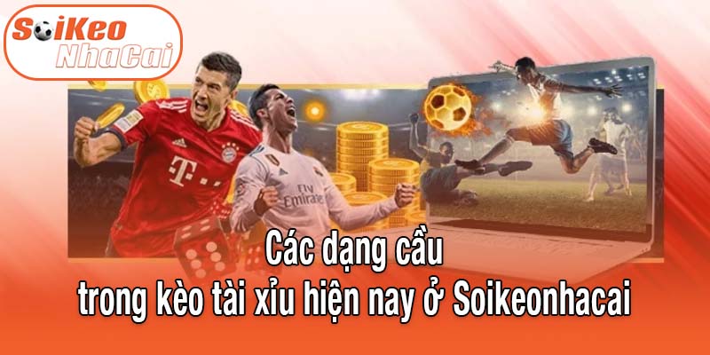 Các dạng cầu trong kèo tài xỉu hiện nay ở Soikeonhacai