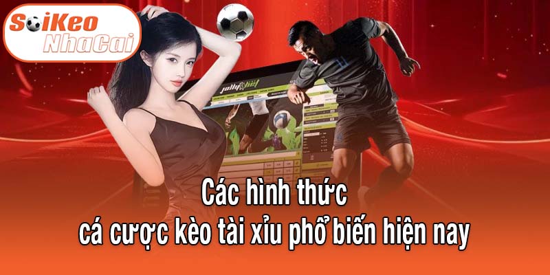 Các hình thức cá cược kèo tài xỉu phổ biến hiện nay