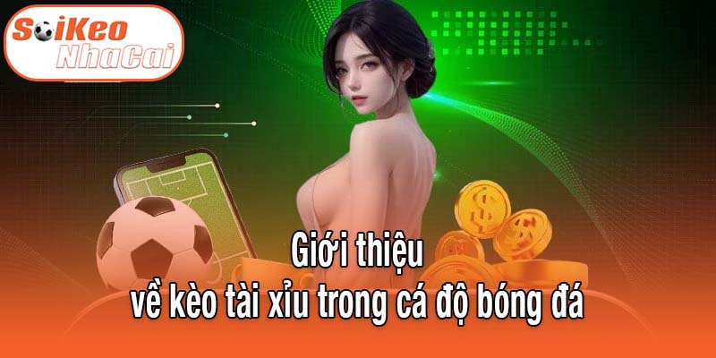 Khái quát kèo tài xỉu trong cá cược bóng đá