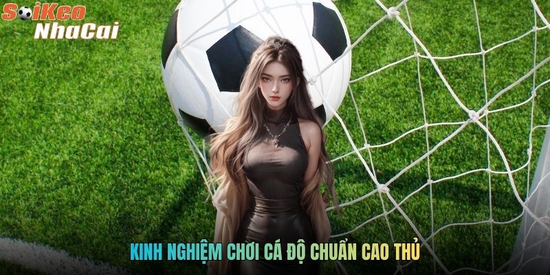 Kinh nghiệm chơi cá độ chuẩn cao thủ