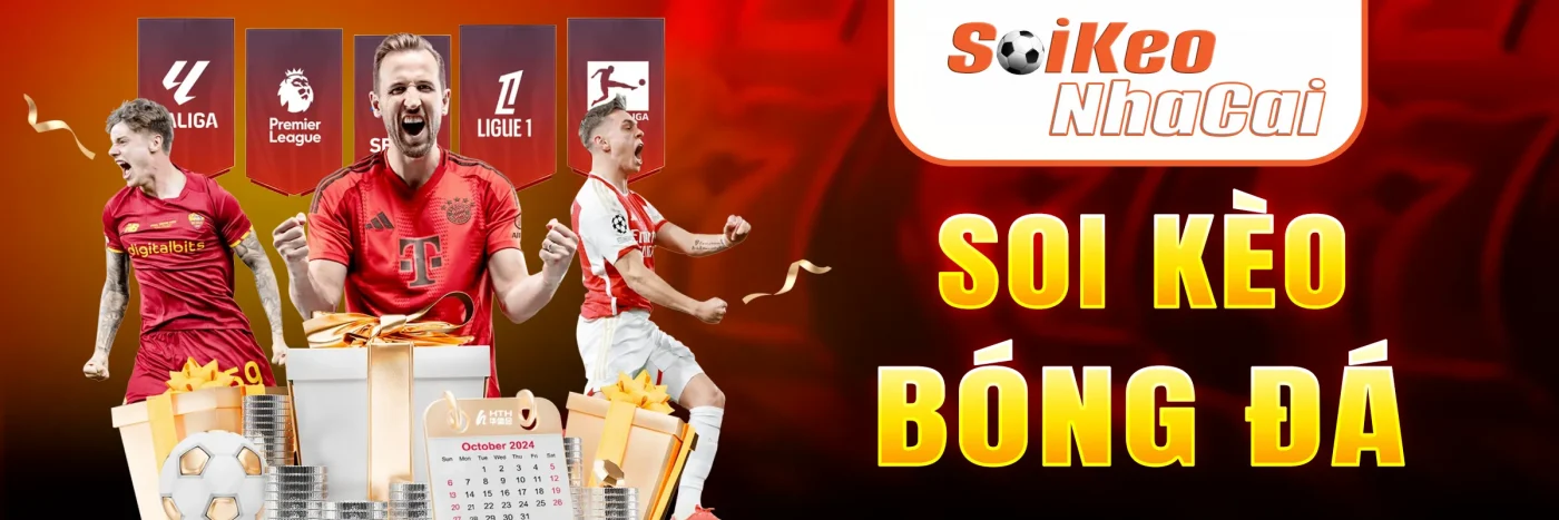 Dự đoán, soi kèo bóng đá tại Soikeonhacai.site