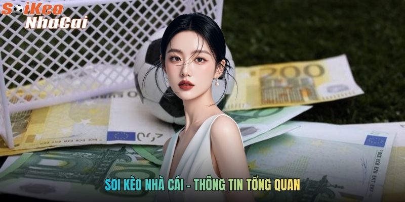 Soi kèo nhà cái - Thông tin tổng quan