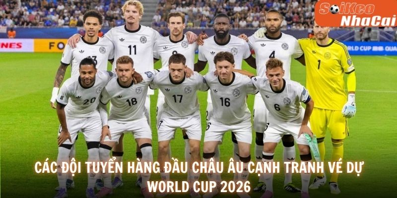 Các đội tuyển hàng đầu châu Âu cạnh tranh vé dự World Cup 2026