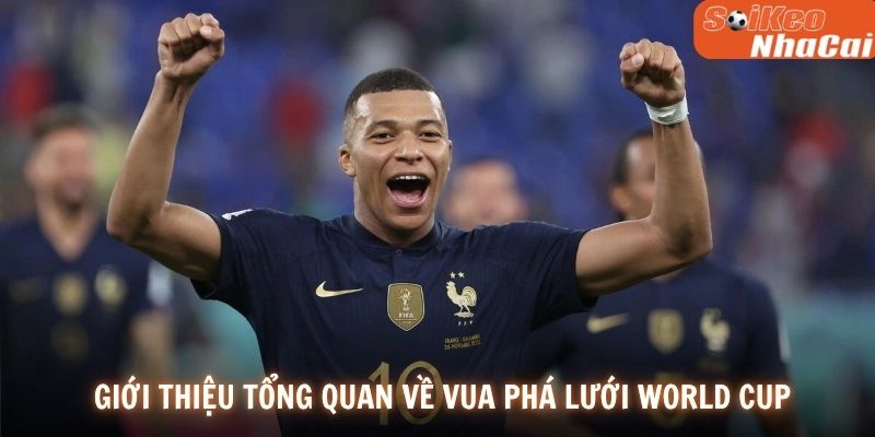 Giới thiệu tổng quan về vua phá lưới World Cup
