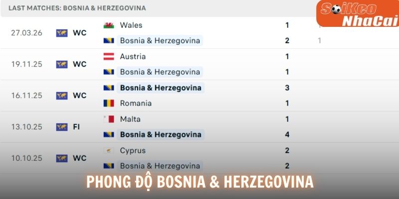 Phong độ Bosnia & Herzegovina