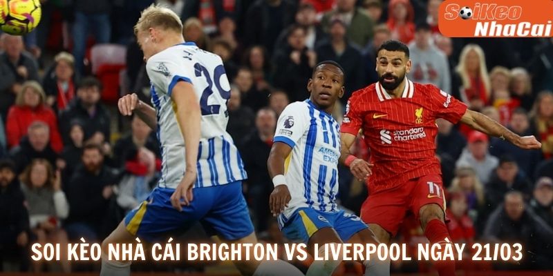 Soi kèo nhà cái Brighton vs Liverpool ngày 21/03