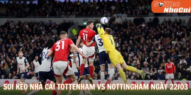 Soi kèo nhà cái Premier League ngày 22/03