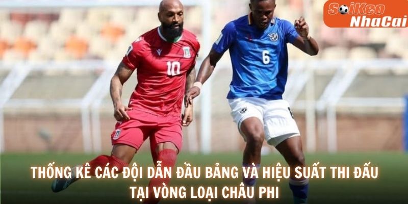 Thống kê các đội dẫn đầu bảng và hiệu suất thi đấu tại vòng loại châu Phi