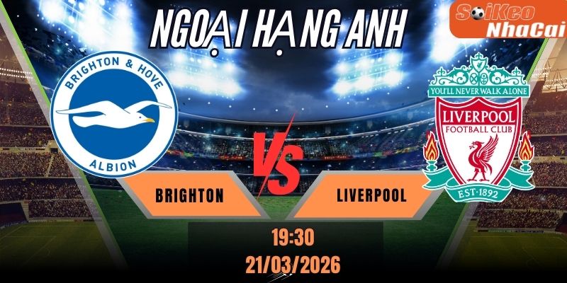 Soi kèo nhà cái Brighton vs Liverpool 19h30 ngày 21/03 - Premier League