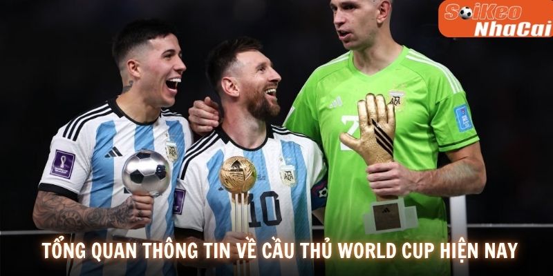 Tổng quan thông tin về cầu thủ World Cup hiện nay
