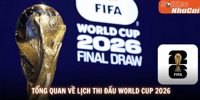 Tổng quan về lịch thi đấu World Cup 2026