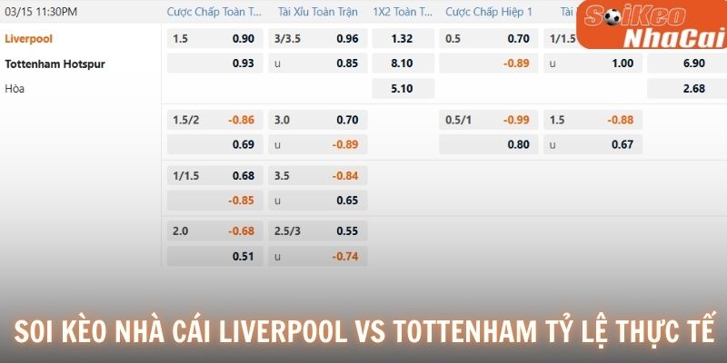 Soi kèo nhà cái Liverpool vs Tottenham tỷ lệ thực tế