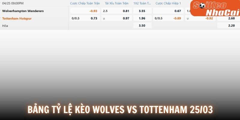 Bảng tỷ lệ kèo Wolves vs Tottenham 25/04