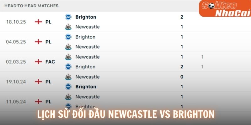 Lịch sử đối đầu Newcastle vs Brighton