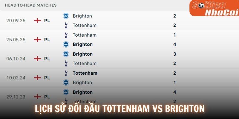 Lịch sử đối đầu Tottenham vs Brighton