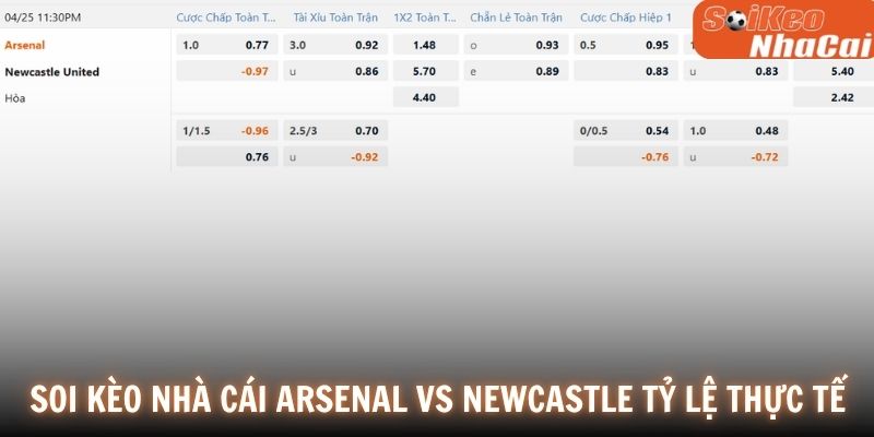 Soi kèo nhà cái Arsenal vs Newcastle tỷ lệ thực tế 25/04