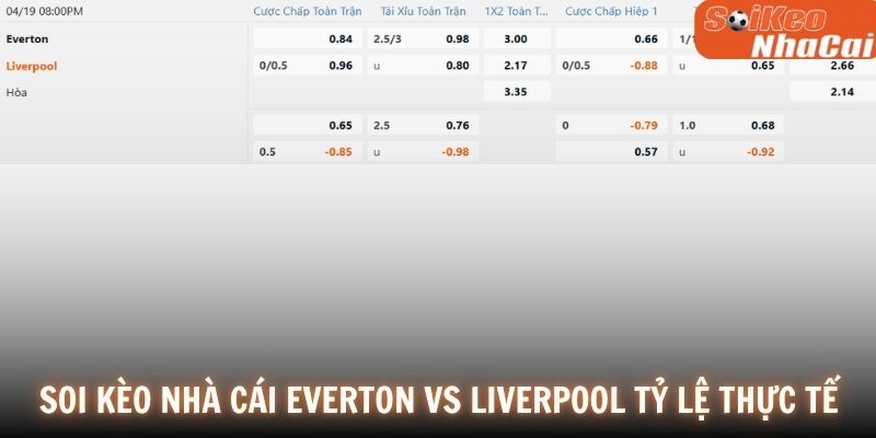 Soi kèo nhà cái Everton vs Liverpool tỷ lệ thực tế