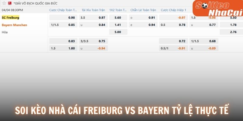 Soi kèo nhà cái Freiburg vs Bayern Munich tỷ lệ thực tế