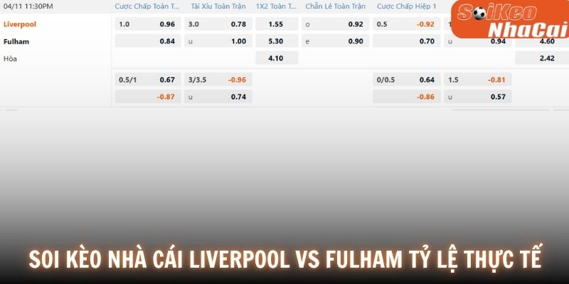 Soi kèo nhà cái Liverpool vs Fulham tỷ lệ thực tế 11/04