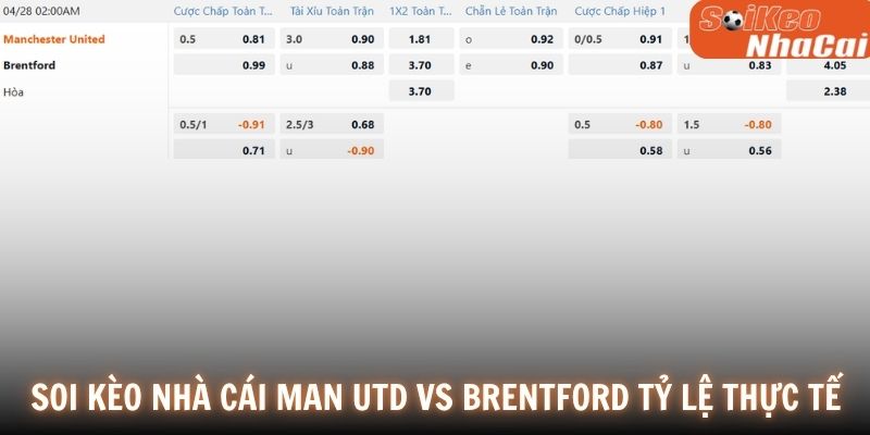 Soi kèo nhà cái Manchester Utd vs Brentford tỷ lệ thực tế
