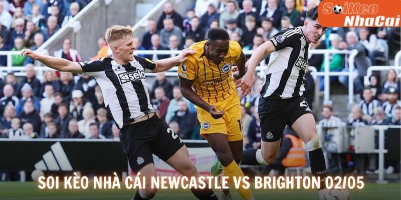 Soi kèo nhà cái Newcastle vs Brighton vòng 35 02/05