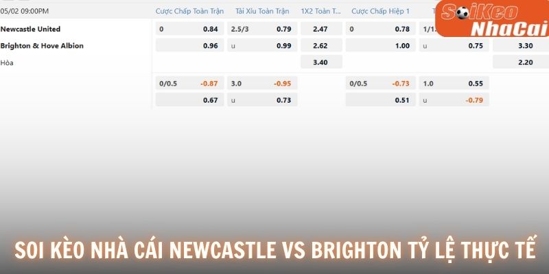 Soi kèo nhà cái tỷ lệ kèo Newcastle vs Brighton