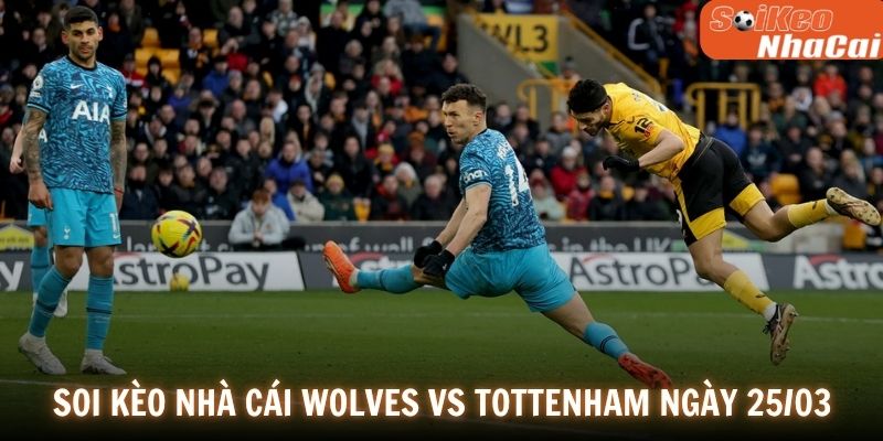 Soi kèo nhà cái Wolves vs Tottenham ngày 25/04