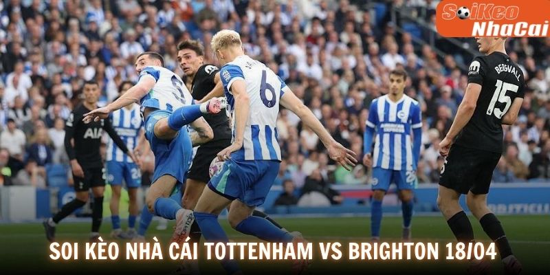 Soi kèo nhà cái Tottenham vs Brighton 18/04