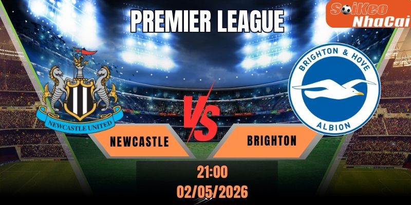 Soi kèo nhà cái Newcastle vs Brighton 21h00 ngày 02/05 - Premier League