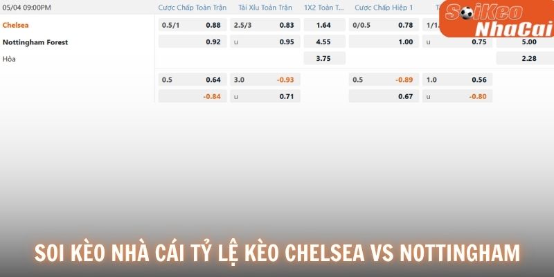 Soi kèo nhà cái tỷ lệ kèo Chelsea vs Nottingham 04/05